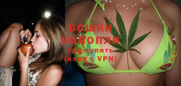 гашик Белоозёрский