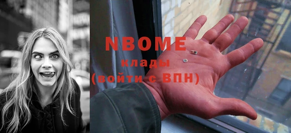сатива Богородицк