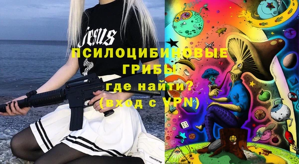 сатива Богородицк