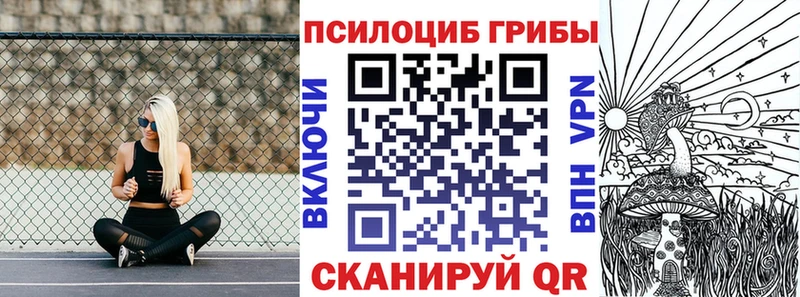 Галлюциногенные грибы Psilocybe Вязники